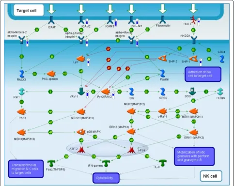 Figure 6 Immune response pathway map enriched with genes down-regulated in the tumorgraft forming patient tumors