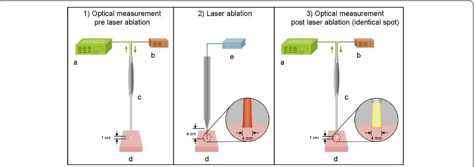 Figure 1 Experimental set-up for optical measurements: 1) Diffuse Reflectance Spectroscopy before laser ablation, 2) Tissue ablation with anEr:YAG laser (spot size ø 4 mm), 3) Diffuse Reflectance Spectroscopy in the area of ablation (a
