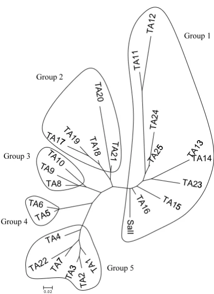 Table 3: PvDBPII haplotypes observed among 30 Thai isolates.