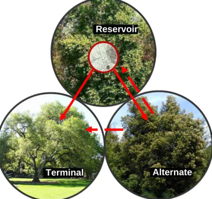Figure 1: Transmission pathways for the pathogen. Reservoir hosts = primary source of 