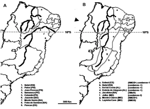 Figure 1. across the Brazilian NE regions.lLu. longipalpis s.lLu. longipalpis s.l. across the Brazilian NE region