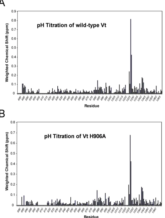Figure 3.5:  The weighted chemical shift changes in  1 H- 15 N HSQC spectra of wild-type Vt  (A) and Vt H906A (B) collected between pH 5.5 and 7.5