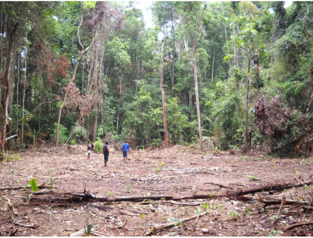Figure	  5:	  Mapping	  Logging	  in	  Gleba	  Nova	  Olinda 