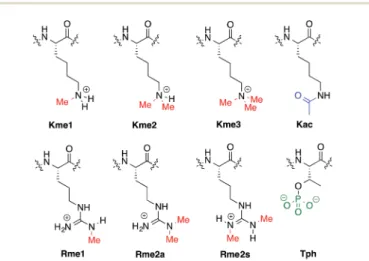 Fig. 1 PTMs on the side chains of Lys, Arg, and Thr.
