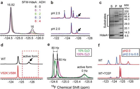 Fig. 3 Partially folded form is essential for activity. (a) 19 F spectra of 5FW-labelled WT protein upon adding substrate ADH (mole ratio 5FW- 5FW-HdeA : ADH from 6 : 0 to 6 : 4) at pH 2.0