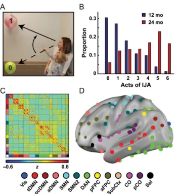 Figure 1. IJA and functional connectivity in infants and toddlers. (A) An example of IJA wherein the child acts to reorient the mother’s gaze from the yellow balloon (0) to the pink ball (1)