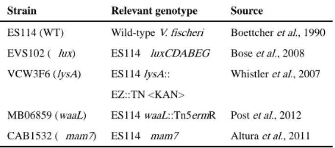 Table 1 Vibrio fischeri strains used in this study.