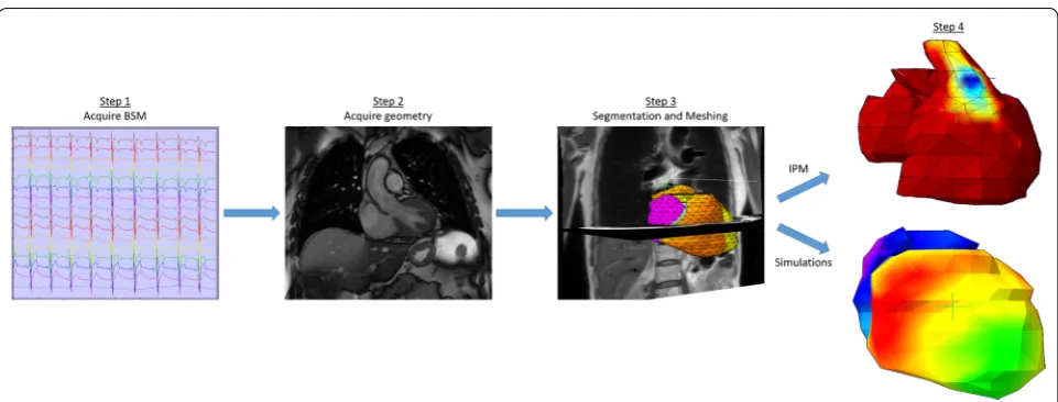 Fig. 1 Workflow of the integrated whole-heart computational models. Step 1 represents the acquisition of the multichannel body surface poten-tials; step 2 acquisition of geometry in 3D (1D shown); step 3 depicts the topologically correct wholeheart segmentation in the transversal and coronal plane of a volunteer; step 4 the workflow can generate both inverse potential maps (top) and simulations (bottom) using the information supplied in the previous steps