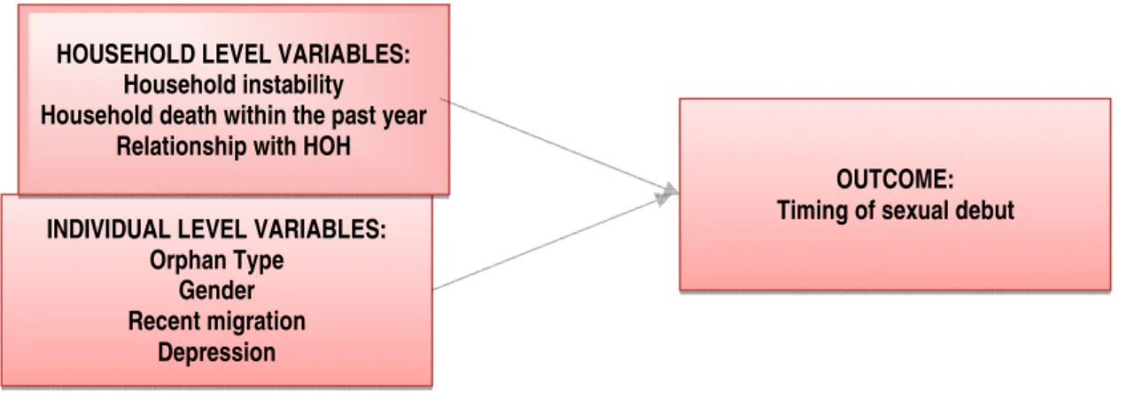 Figure 1.1. Conceptual Model for Aims 1-3 
