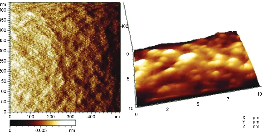 Figure 4 aFM images of sol–gel silica coating.Note: left, spot size of 500 × 500 nm2; right, spot size of 400 × 10 µm2.Abbreviations: aFM, atomic force microscopy; sol–gel, solution–gelatin.