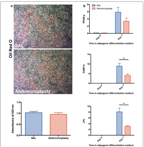 Fig. 3 SAL derived ASCs have similar adipogenic lineage differentiation capacities. a Representative images and quantification of Oil Red O staining following adipogenic differentiation of SAL and abdominoplasty derived ASCs