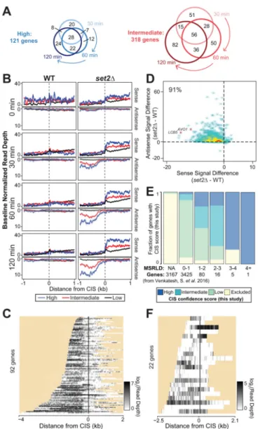 Figure 6. Nutrient depletion in the absence of Set2 leads to sense and antisense transcription  affecting the expression of genes