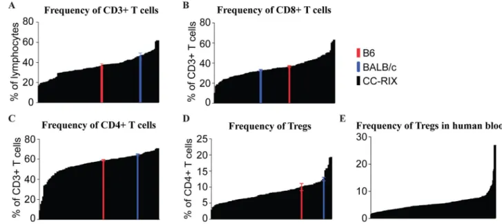 Figure 1. Variation in frequency of T cell populations at steady state