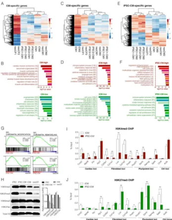 Figure 2. Genetic and Epigenetic Differences between iCMs and iPSC-CMs