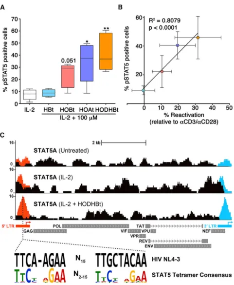 Figure 4. HODHBt Sustains pSTAT5 and Binding to the HIV-1 LTR