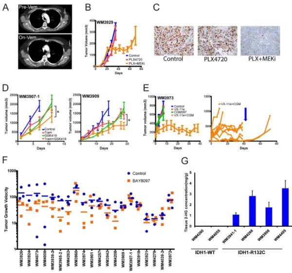 Figure 5. PDX models in pre-clinical trials