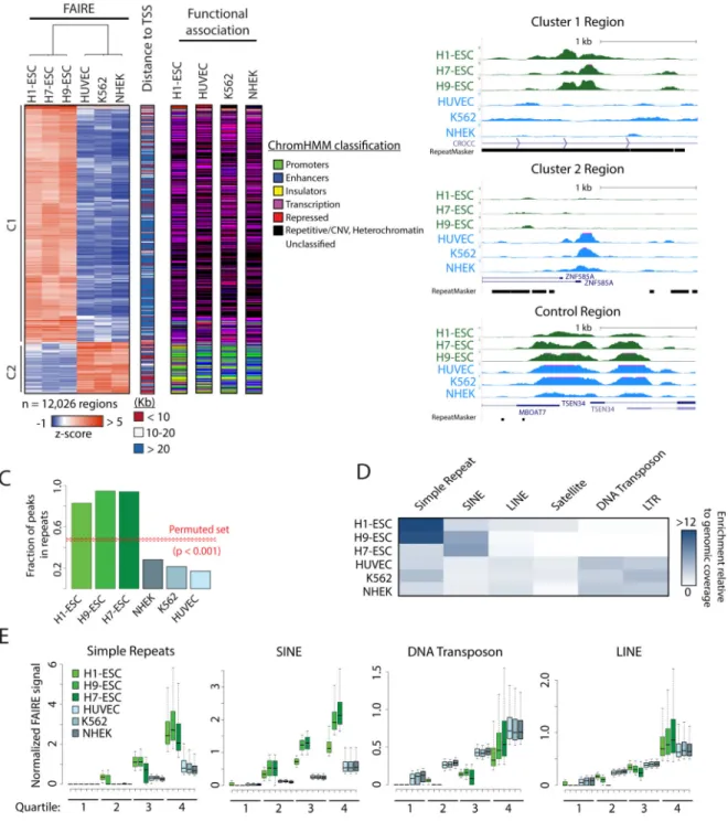 Figure 1. FAIRE-seq enriched regions specific to hESC are dominated by simple repeats and  SINEs
