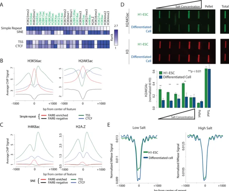 Figure 4. Distinct histone modifications characterize FAIRE-enriched repeats