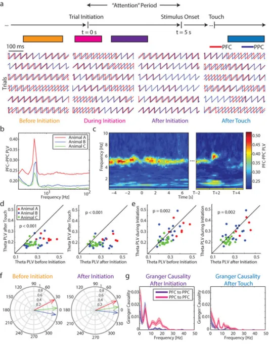 Figure 4. Effective connectivity and task-dependent synchronization between PFC and PPC at  5Hz