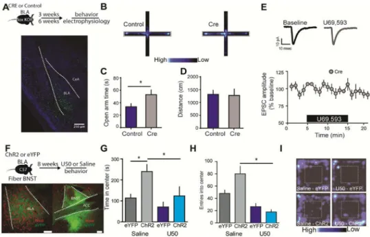 Figure 3. Deletion of KORs from amygdala neurons increases anxiolytic behavior in the EPM  and blocks KOR agonist induced reduction of BLA to BNST inputs, while systemic activation of  KORs occludes BLA-BNST driven anxiolytic behavior in the open field