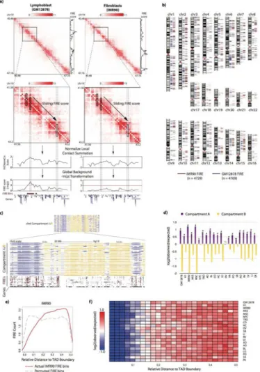 Figure 2. Identification and positional enrichment of frequently interacting regions