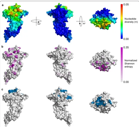 Fig. 2 Measures of sequence diversity for PvAMA1 and relationship to key binding interfaces