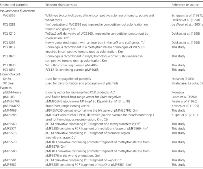 Table 1. Bacterial strains and plasmids used