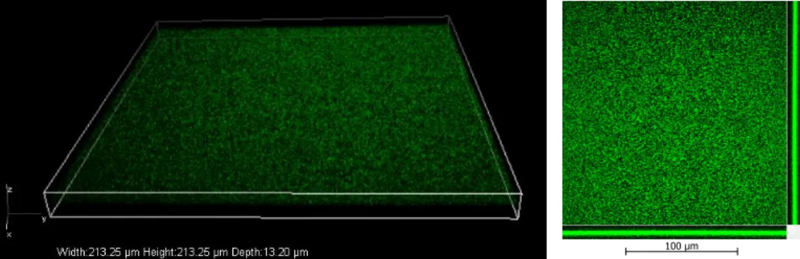 Figure 12: Volume View and Slices View (with Maximum Intensity Pro- Pro-jection (MIP) selected) of z-stack of images acquired from imaging a plain ORMOCER spincoated slide.