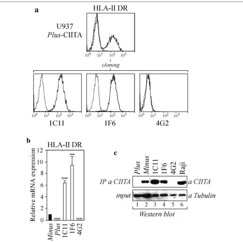 Fig. 2 Cellular and molecular characterization of U937 Plus cells stably expressing exogenous CIITA