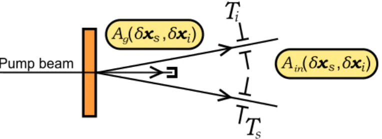 Figure 2.3: Graphical representation of what we call the detected two-photon amplitude A in (δx s , δx i ) in relation to the generated two-photon amplitude A g (δx s , δx i ).