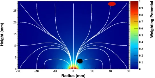 Figure 2.5: The weighting potential and charge carrier (holes) drift paths of a p-type modified BEGe detector is shown here (the one used in this dissertation)