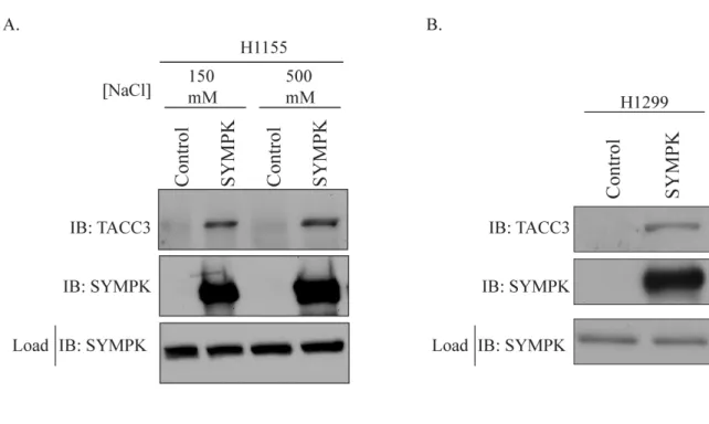 Figure 4.2  Interaction of SYMPK and TACC3   