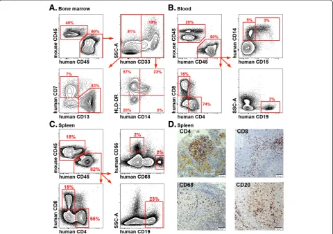 Figure 1 Multilineage development of the human immune system in humanized mice. Samples were prepared for flow cytometry asdescribed in the Materials and Methods