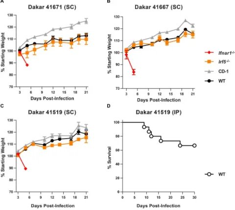 Figure 3. ZIKV strains from Senegal cause lethal disease in 4 week-old Ifnar1 −/−  mice and 1  week-old WT mice
