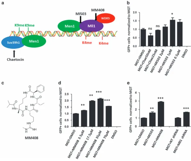 Figure 2 Mll1 inhibitors signi ﬁcantly enhanced cardiac reprogramming. (a) A diagram depicting the interaction of Men1 with Mll1 complex and Men1 with Suv39h1