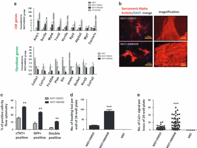 Figure 3 Mll1 inhibitor MM408 improved functional properties of induced cardiomyocytes