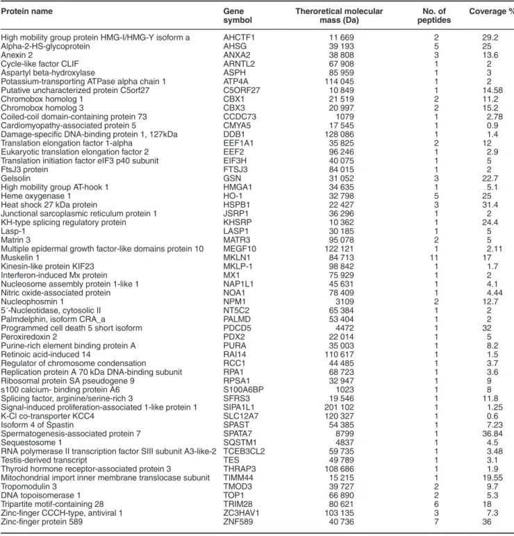 Table 1 List of HO-1-interacting proteins identified by MS/MS analysis