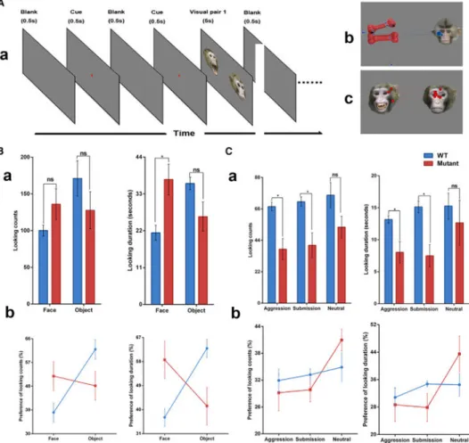 Figure 5. Eye-Tracking Patterns in MECP2 Mutants and WT Monkeys