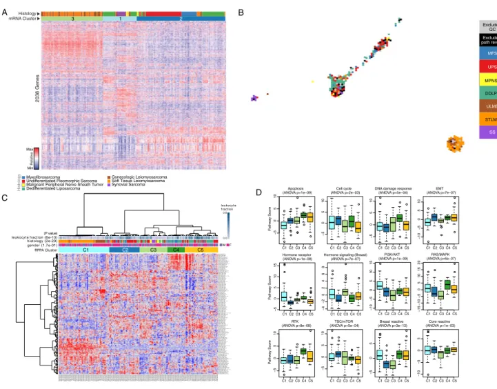 Figure S4. Gene and Protein Expression Alterations across Sarcoma Types, Related to Figure 3