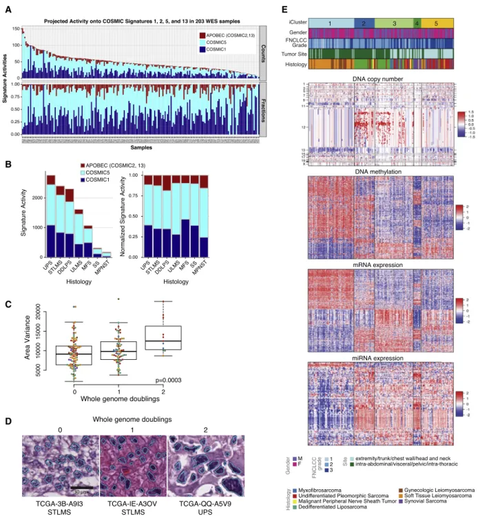 Figure 3. Mutational Signatures, Genomic Complexity, and Integrated Analysis in Sarcoma
