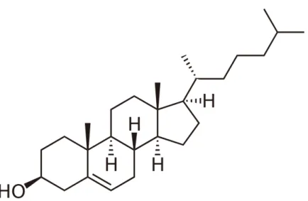 Figure 2.6: Structural formula cholesterol.
