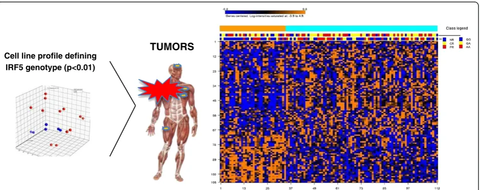 Figure 2 (Top panel) Principal Component Analysis (PCA) based on the gene expression profile of 9 out of 15 melanoma cell lines