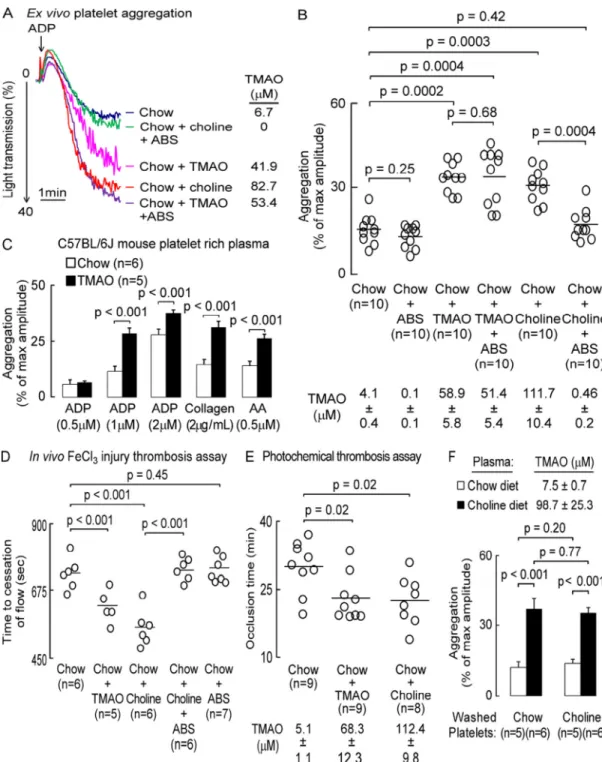 Figure 3. Dietary choline, via gut microbe-generated TMAO, enhances platelet responsiveness  and promotes a prothrombotic phenotype