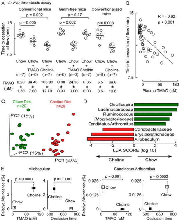 Figure 4. Microbial taxa associated with choline diet-induced TMAO generation and a  prothrombotic phenotype