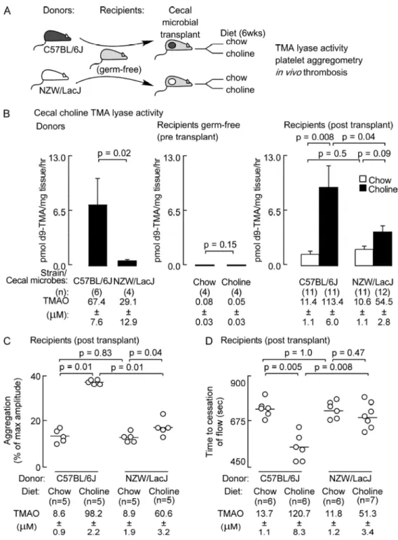 Figure 5. Thrombosis potential is a transmissible trait