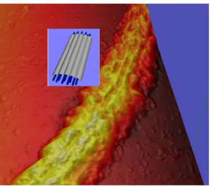 Figure 2.3: An AFM scan of a cilium specimen overlaid with a geometric model of the internal structure of cilia