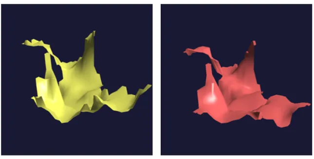 Figure 2.4: These two surfaces make up the interface between two molecules in a potential dock- dock-ing configuration