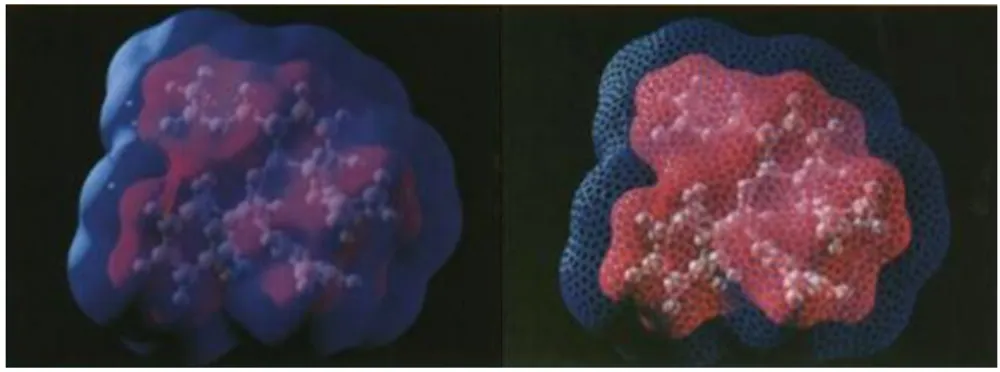 Figure 3.10: Rheingans retiled surfaces and applied simple translucency-modulating textures to con- con-vey shape of an exterior surface while enabling the interior surface to be seen as well [Rhe96].