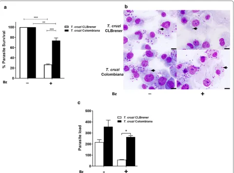 Fig. 1 Effects of benznidazole on the intracellular viability of BZ-sensitive and BZ-resistant T