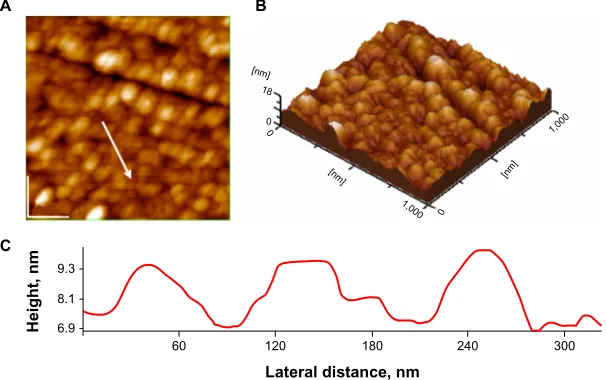 Figure 7 atomic force microscopy images silver nanoparticles on glass in presence of  10-2 M dibucaine solution; scanned  area 1 µm x 1 µm: (A) 2-D topography; (B) 3-D topography; (C) profile of the cross-section along the arrow in panel A.